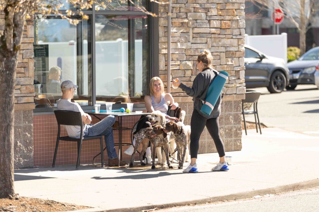 Dogs at outdoor seating