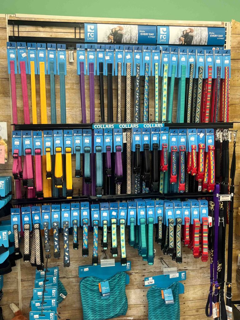 dog leash display in issaquah pet store.