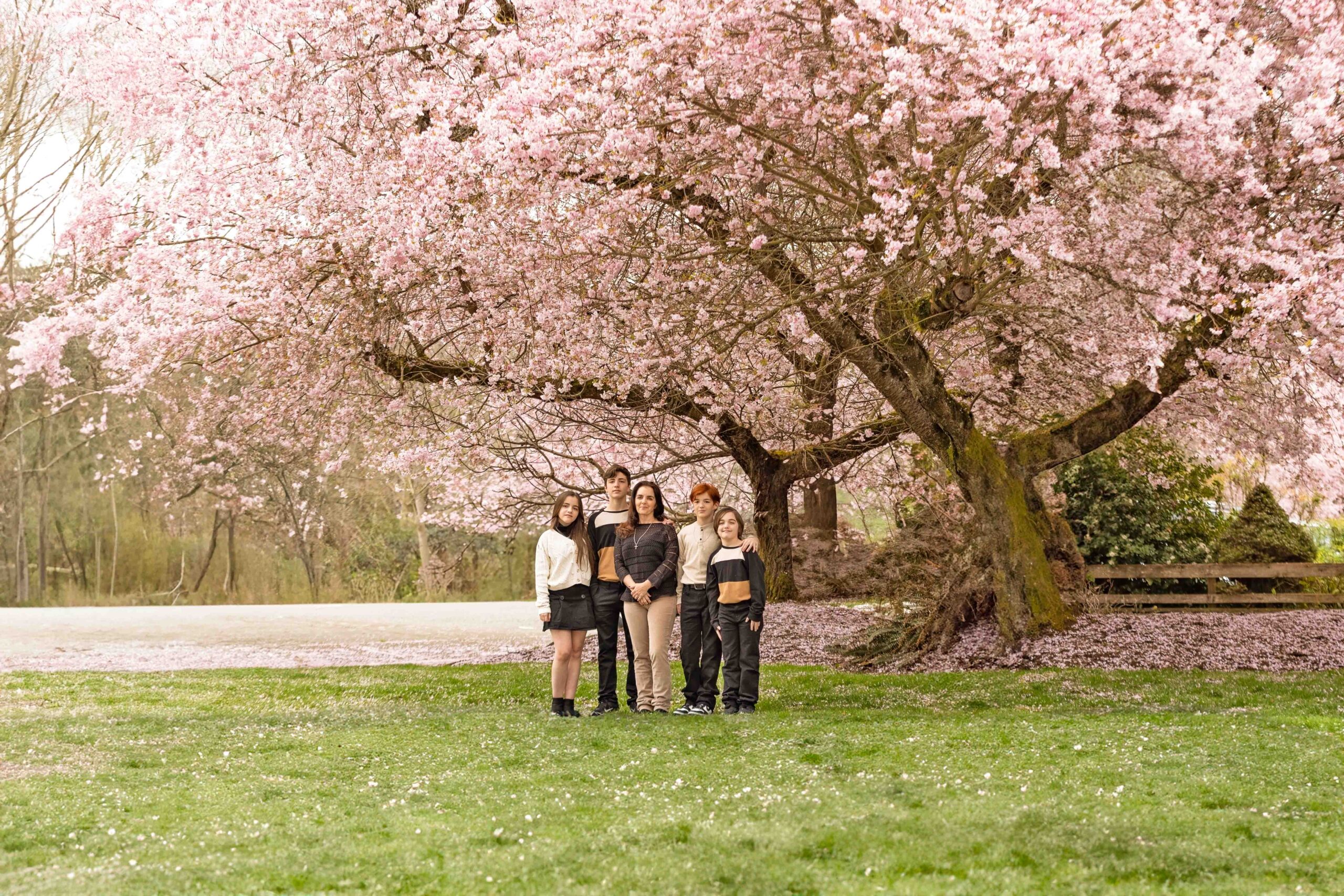 Washington Cherry Blossom Portrait session