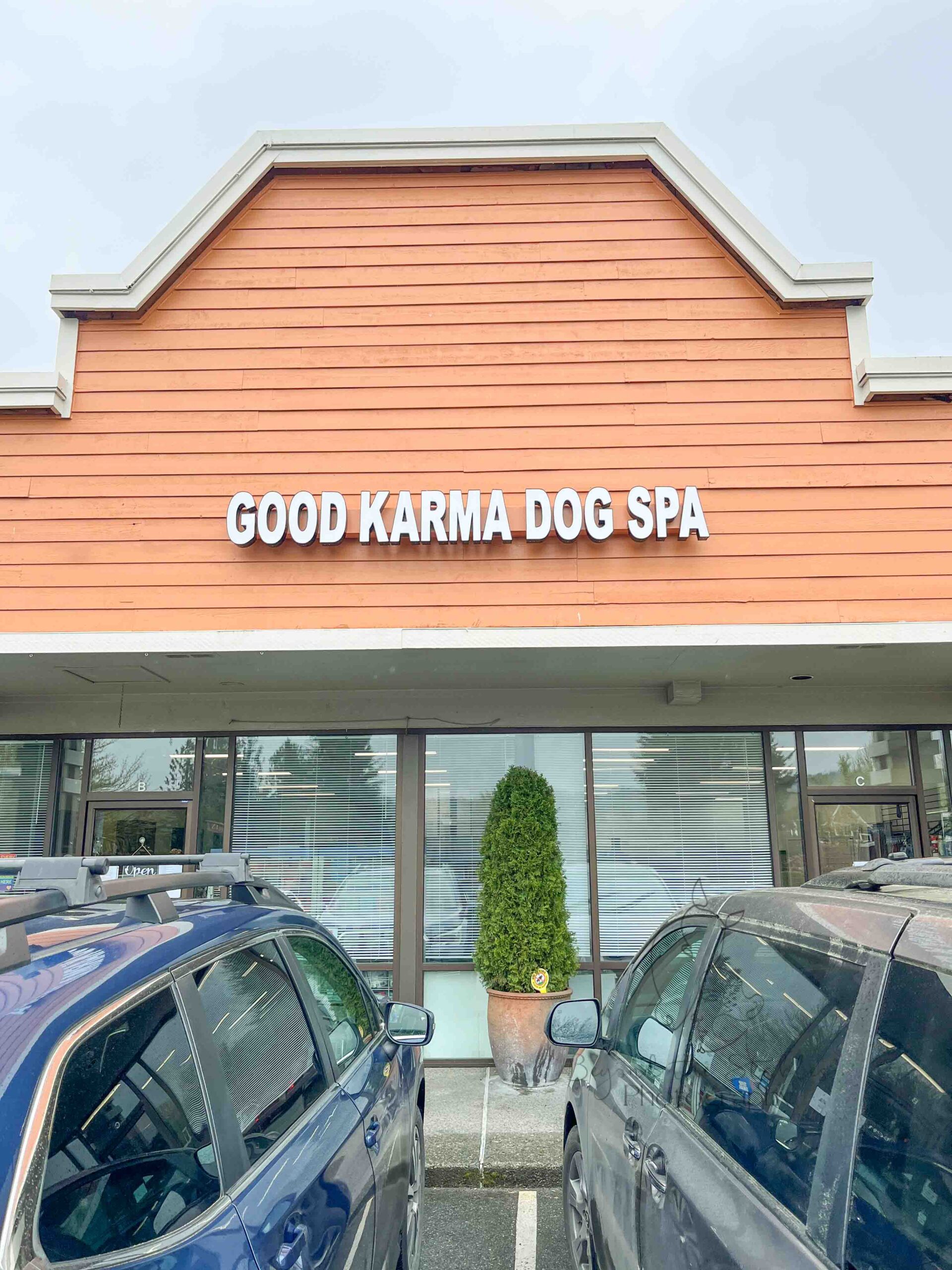 Good Karma Dog Spa in Duvall
