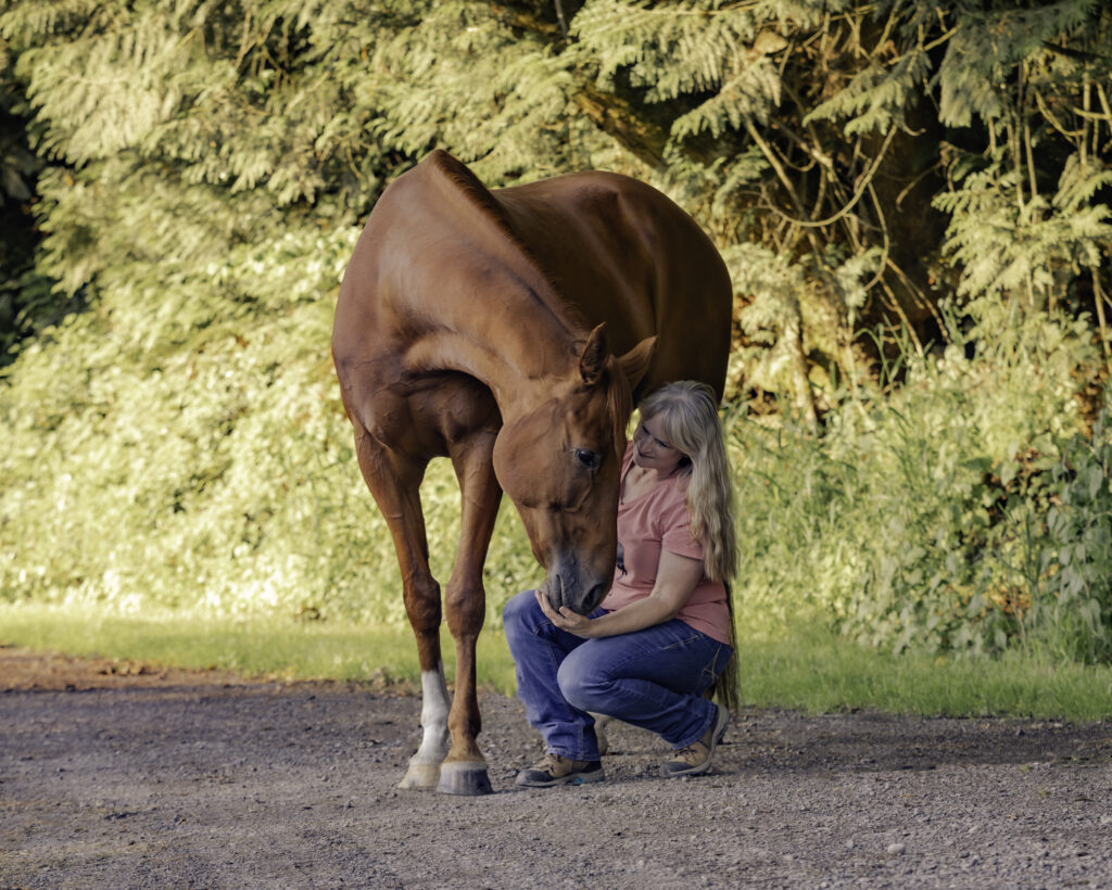 Enjoying the companionship that horses provide, like that of equine therapy in Washington state