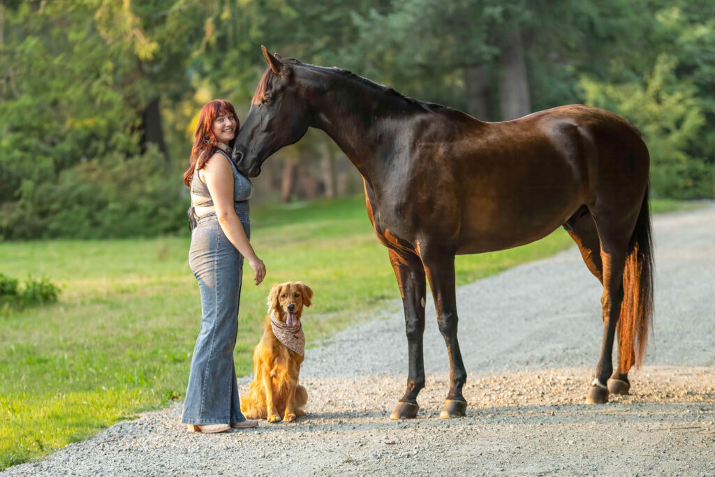 Equine and pet portraits