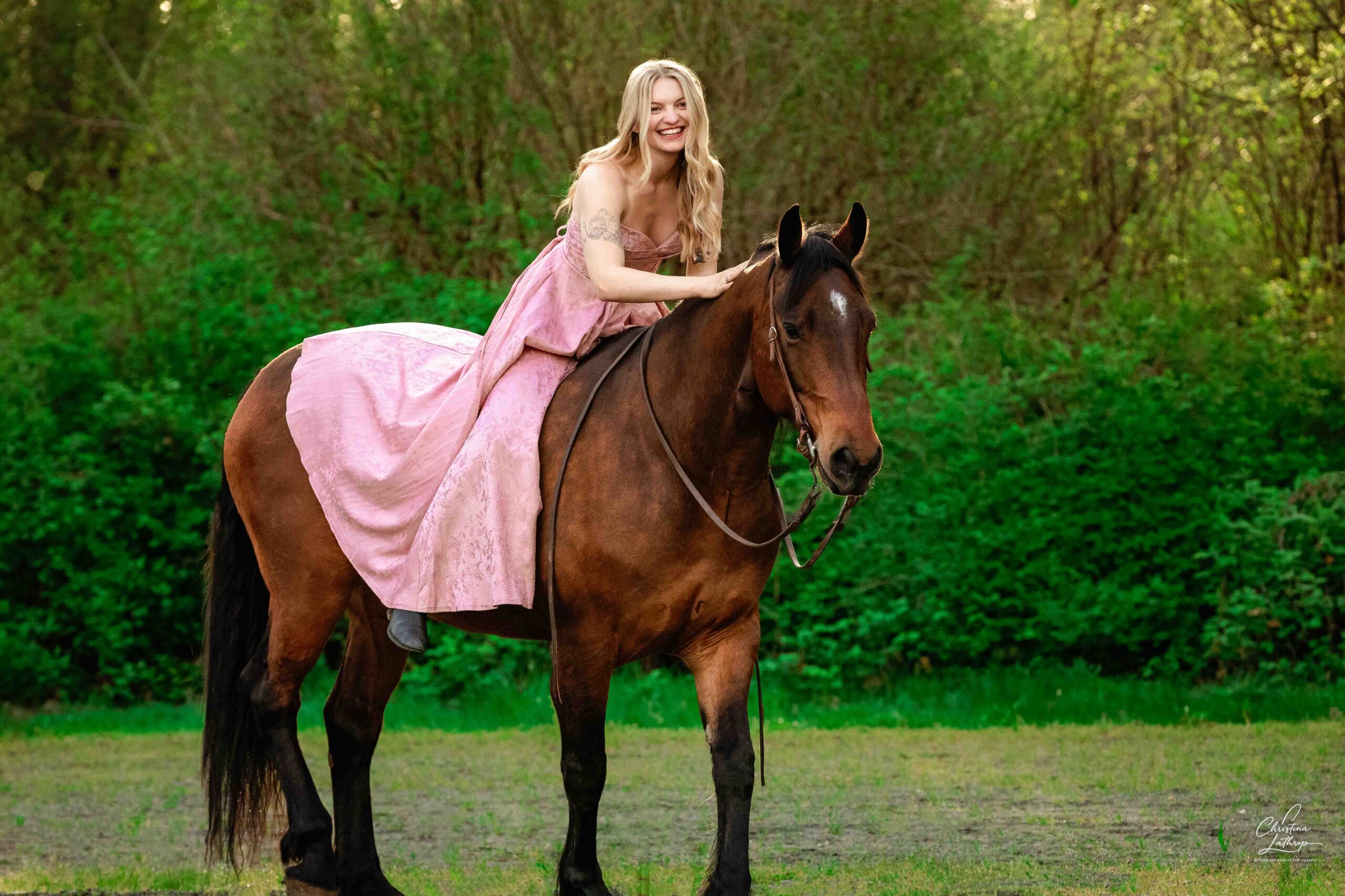 goregous equine portrait